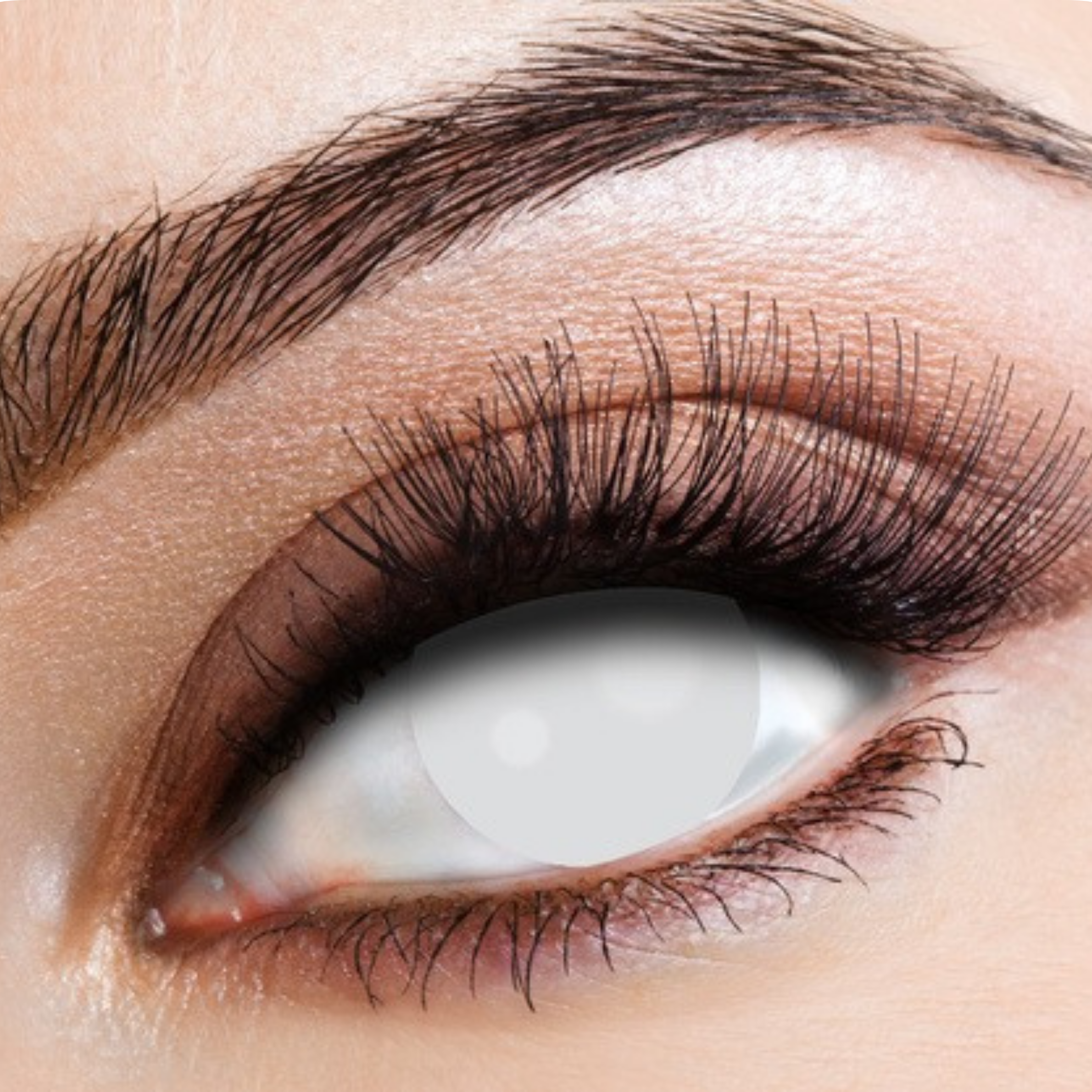 Blind White One Day Contact Lenses